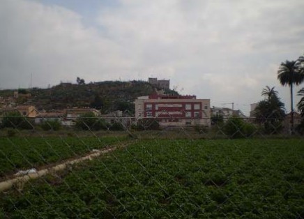Vistas YACIMIENTO ARQUEOLOGICO DEL CASTILLO