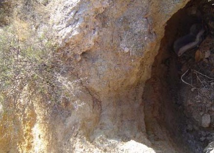 Vistas de POZO DE EXTRACCIÓN