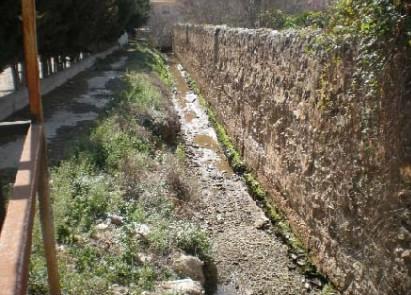 Vistas ALBERCA DEL MOLINO ARMERO