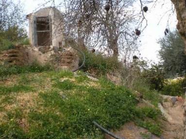 Vistas de ALGIBE BÓVEDA