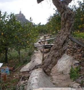 Vistas de ALGIBE BÓVEDA