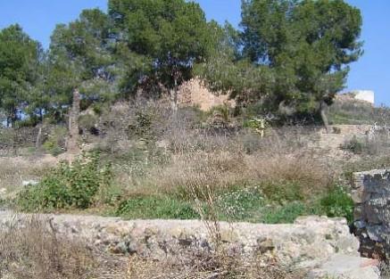 Vistas de MURO Y CANALIZACIONES DE LARACHE