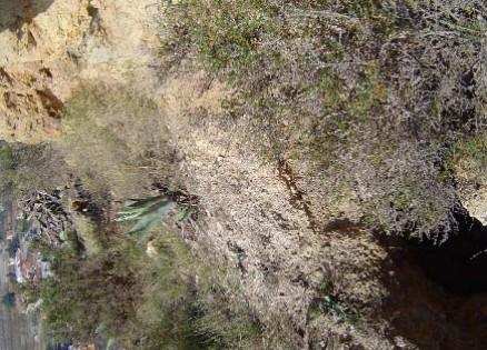 Vistas de POZO DE EXTRACCIÓN